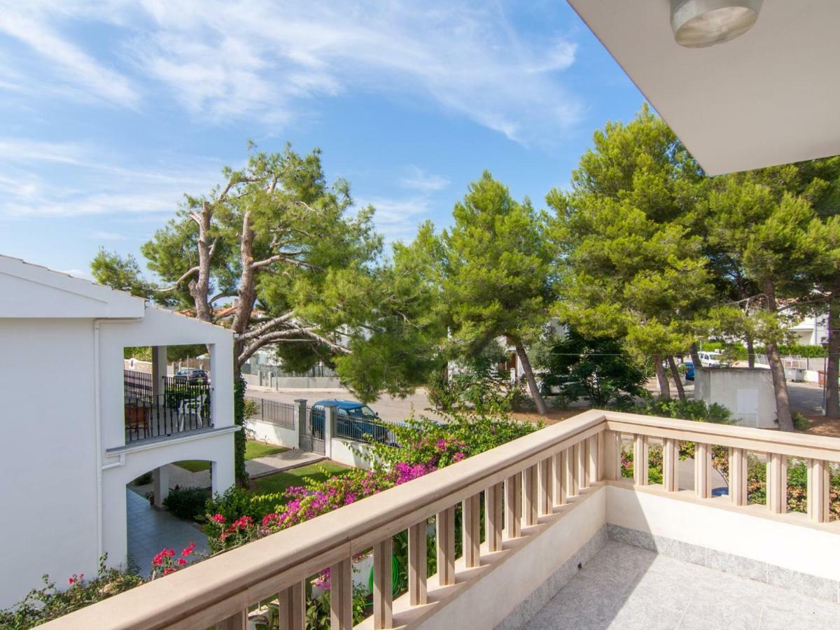 Zamia Villa Playa de Muro (Mallorca)