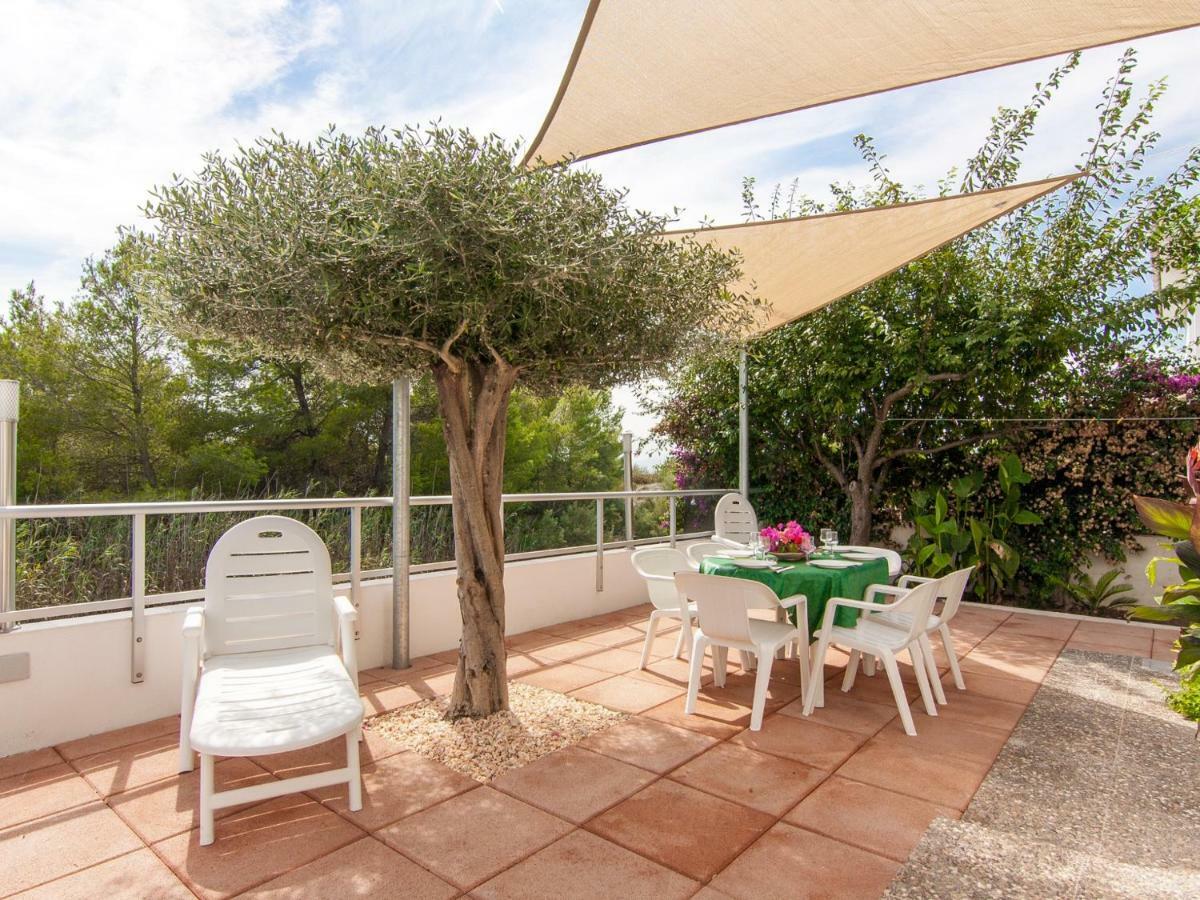 Zamia Villa *